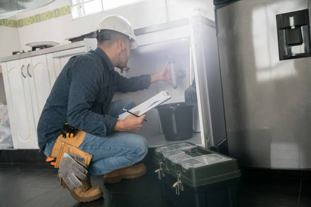 Best Local Plumber Services  in Key Vista, FL